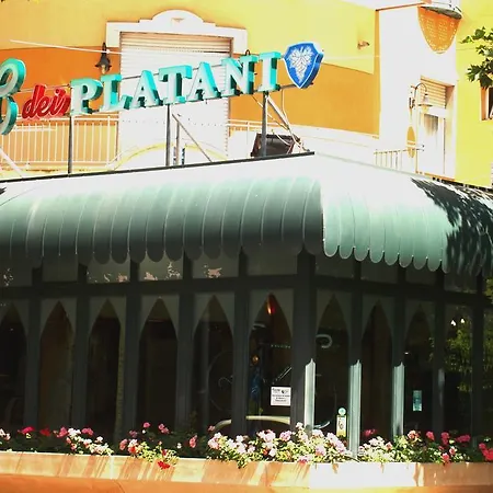 Dei Platani Hotel Rímini