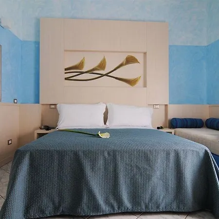 Dei Platani Hotel Rímini
