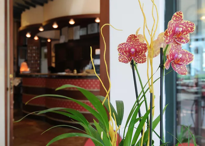 ホテル Dei Platani