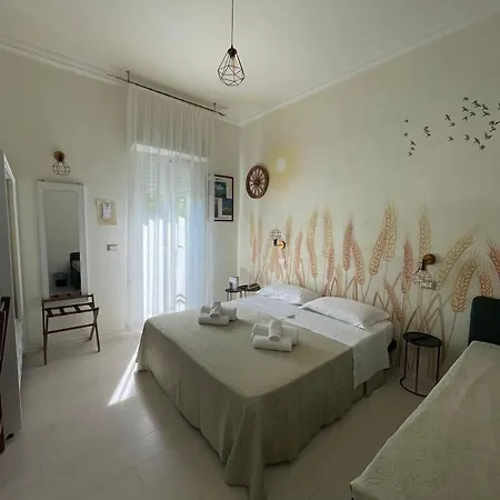 Hotel Dei Platani Rimini