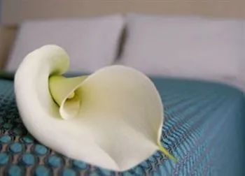 Szálloda Dei Platani