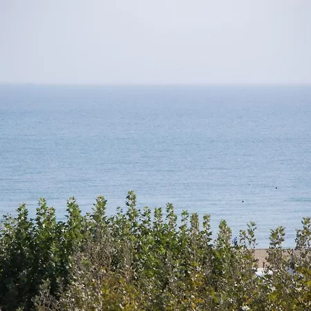 Dei Platani 3* Rimini