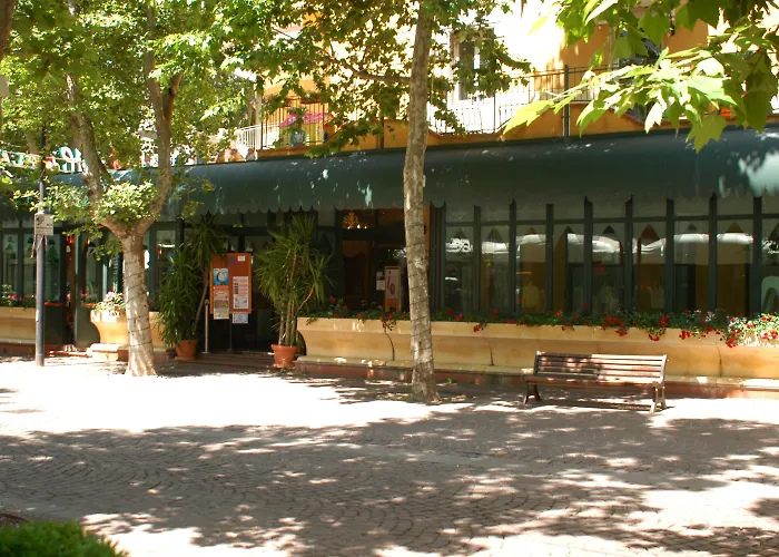 Hotel Dei Platani Rimini