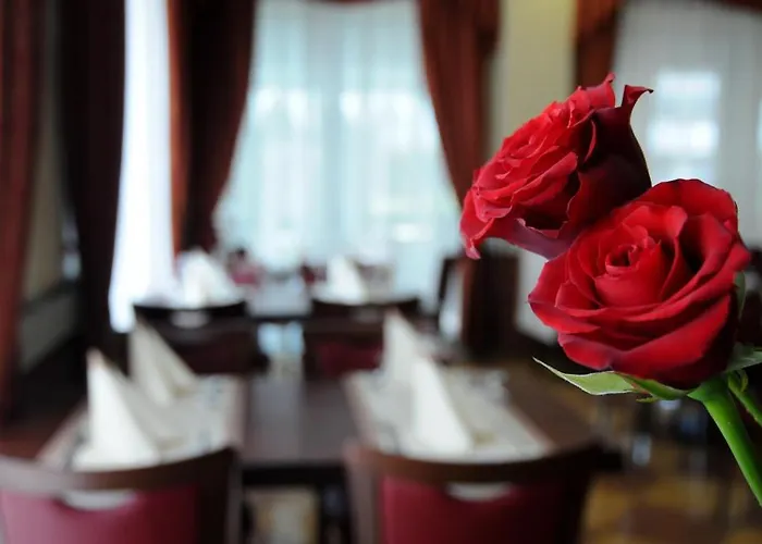 מלון Dei Platani 3*