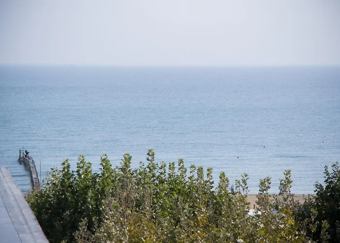 Dei Platani 3* Rimini