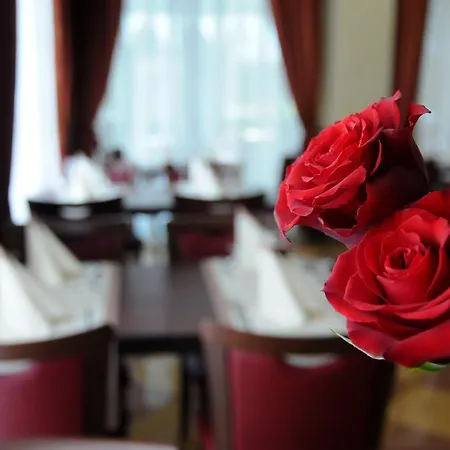 Dei Platani Hotel 3*