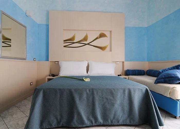 Dei Platani Hotel Rimini