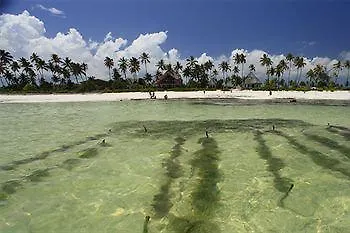 호텔 Dei Platani 3*