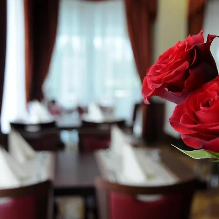 Hotel Dei Platani 3*