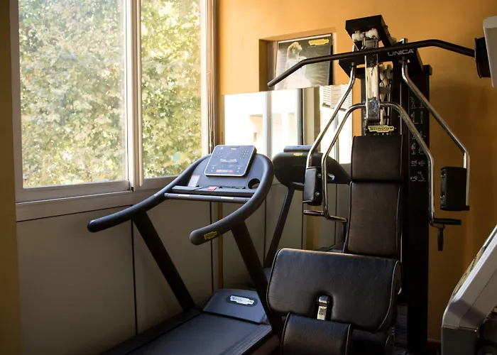 Hotel Dei Platani 3*